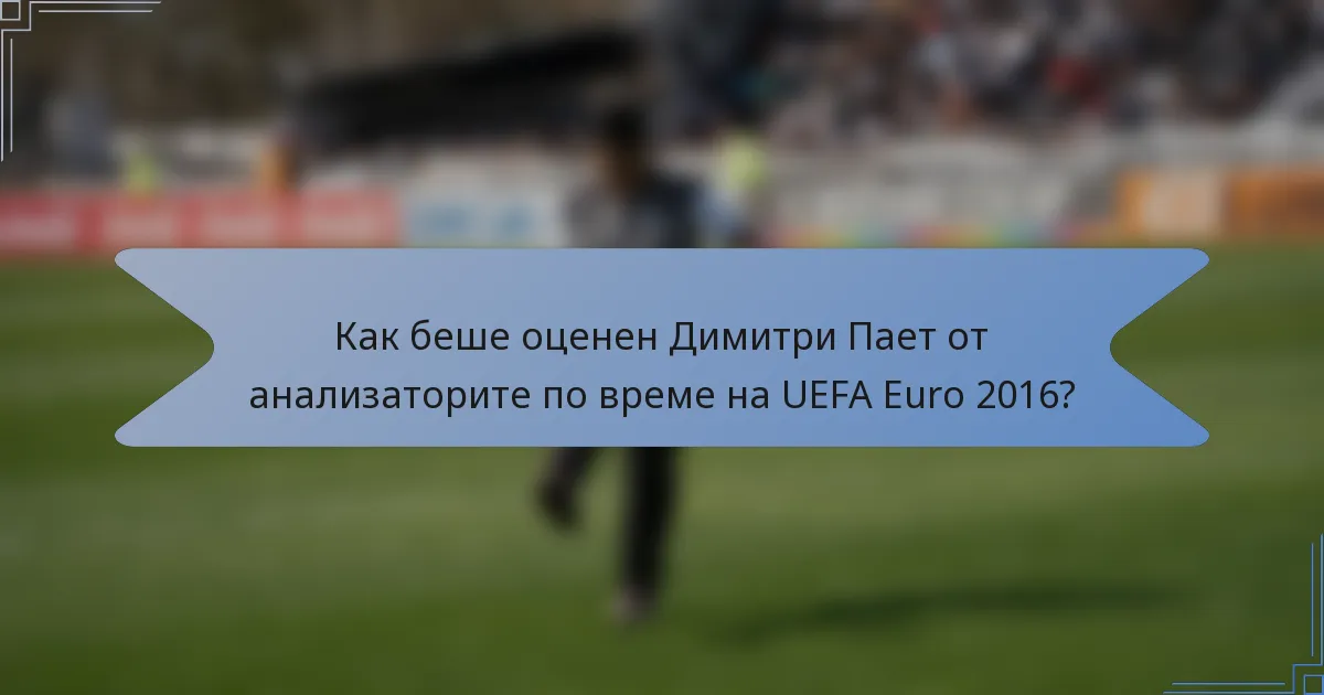 Как беше оценен Димитри Пает от анализаторите по време на UEFA Euro 2016?