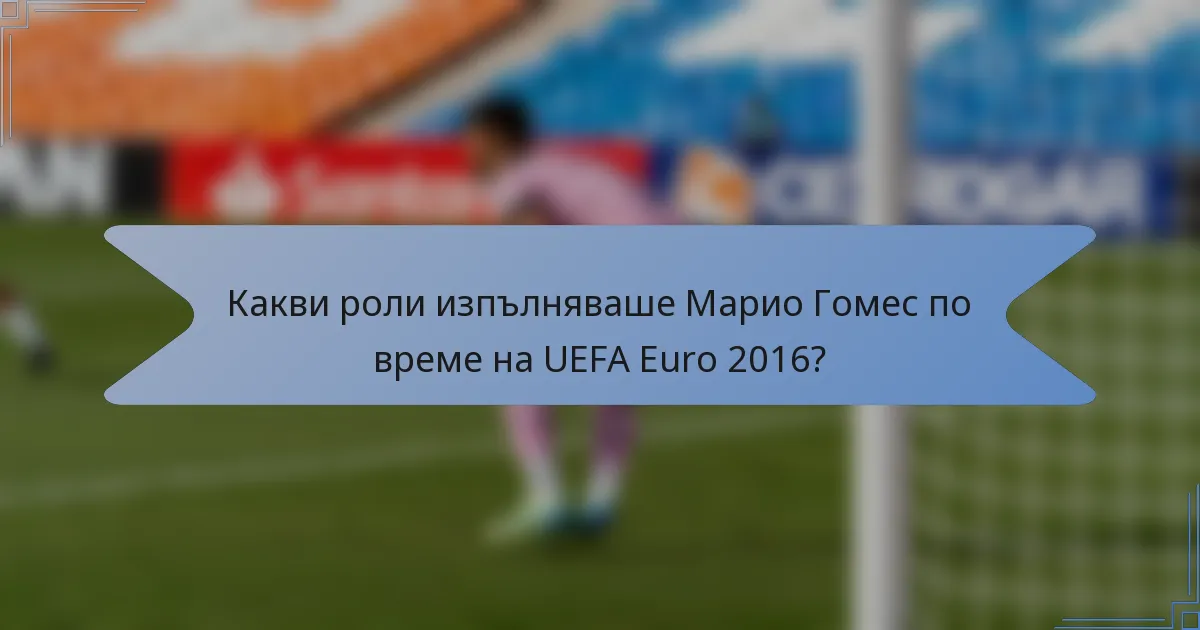 Какви роли изпълняваше Марио Гомес по време на UEFA Euro 2016?