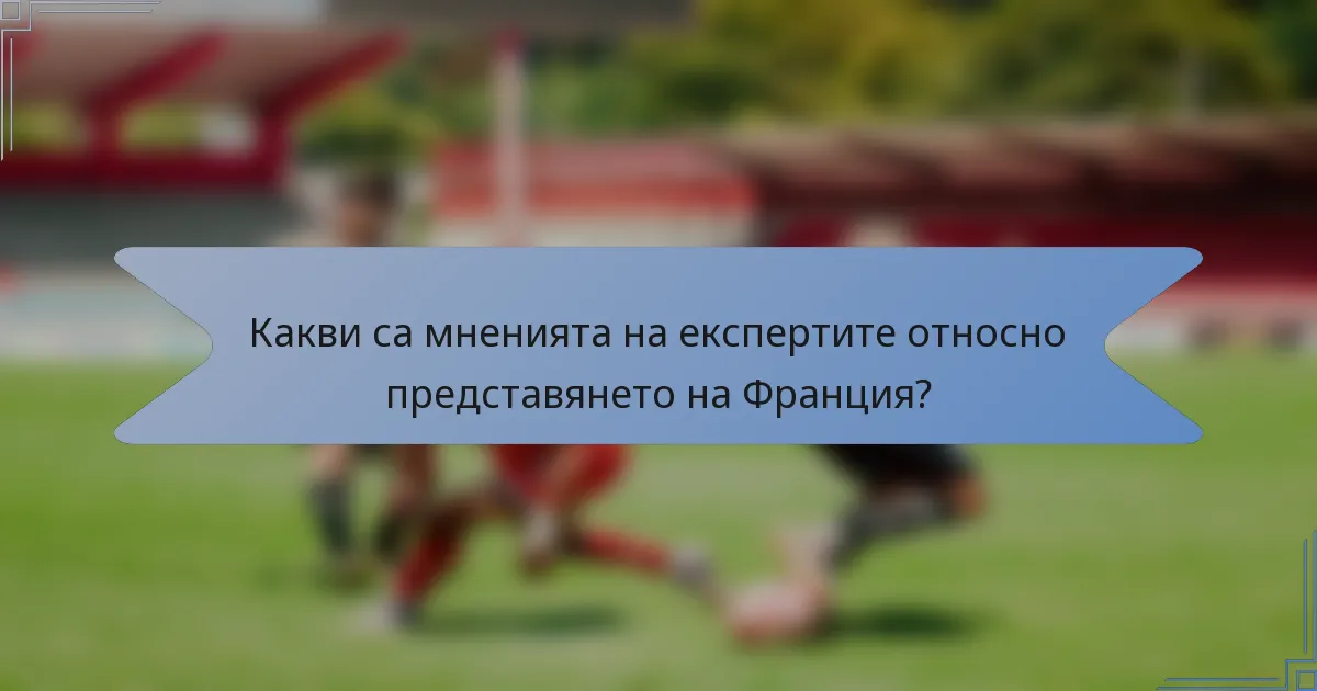 Какви са мненията на експертите относно представянето на Франция?