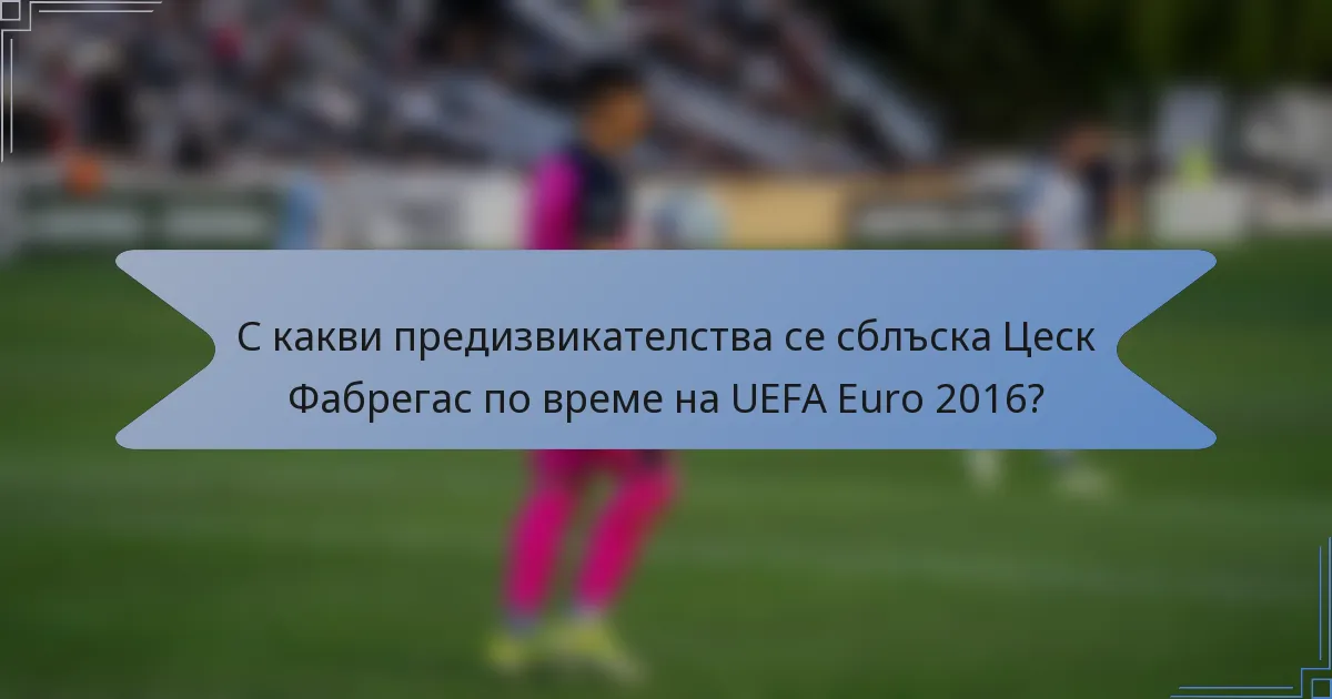 С какви предизвикателства се сблъска Цеск Фабрегас по време на UEFA Euro 2016?